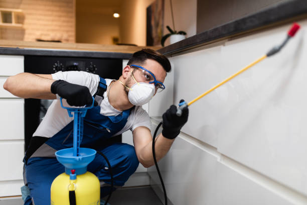Trusted Menomonie, WI Pest Control Experts