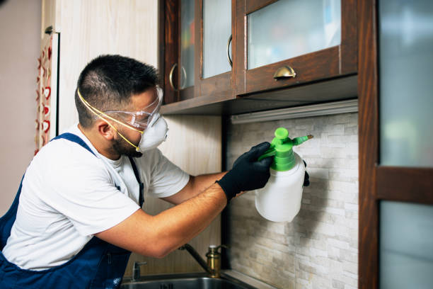 Best Exterminator Services  in Menomonie, WI