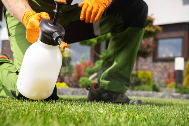 Wasp Removal Services in Menomonie, WI