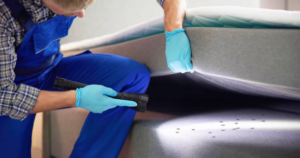 Best Commercial Pest Control Services  in Menomonie, WI