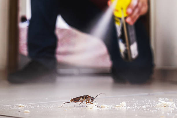 Best Pest Removal Services  in Menomonie, WI