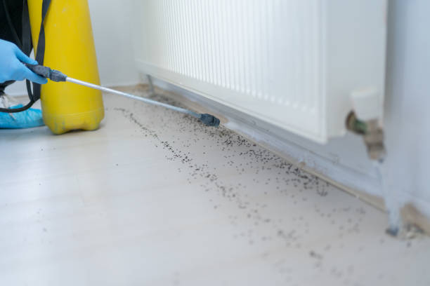 Best Pest Inspection Near Me  in Menomonie, WI