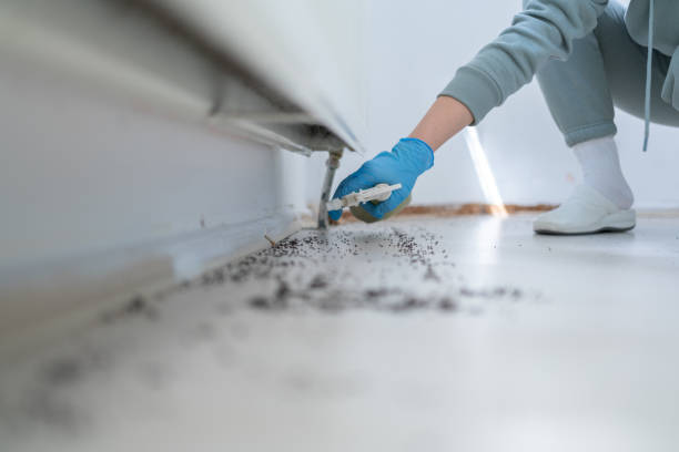Insect Control in Menomonie, WI