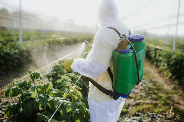 Best Mosquito Control Services  in Menomonie, WI